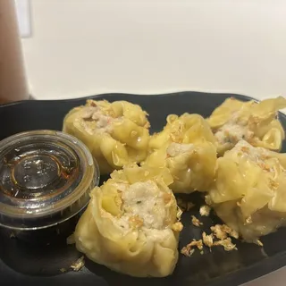 Thai Dumplings