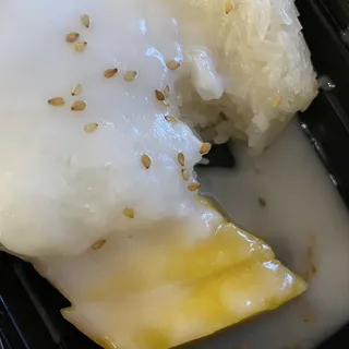 Sticky Rice with Mango