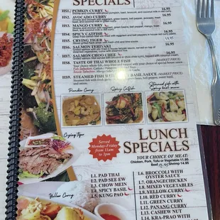 House special/ lunch special