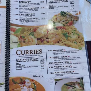 Fried rice and curries
