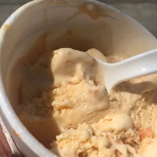 Real apricot bits