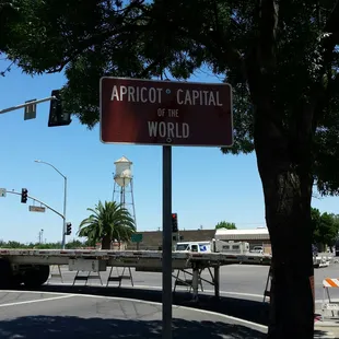 Apricot Capital of the World
