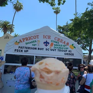 Highly recommended ! Delicious apricots u can see and taste