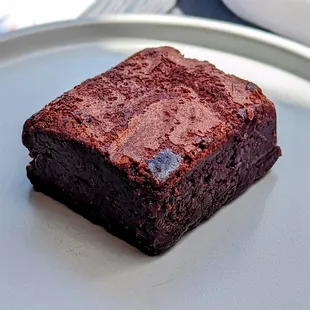 August 13, 2022; Brownie.