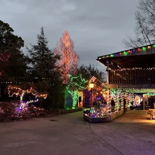 christmas lights on a house