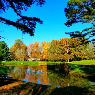 View from pond trail