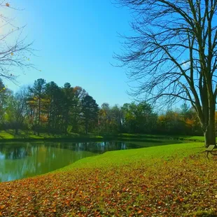 Picnic tables by catch and release pond