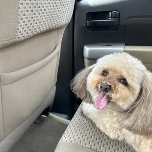 Don't like the 4% charge for credit cards. Prefer businesses who factor that expense into their pricing.