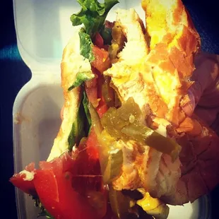 The Spicy Blue Bird, my creation!