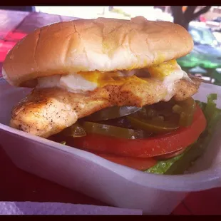 The Spicy Blue Bird, my creation!