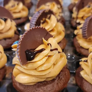 Peanut butter cupcakes
