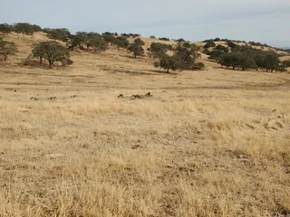 Patwino Worrtla Kodoi Dihi Open Space Park