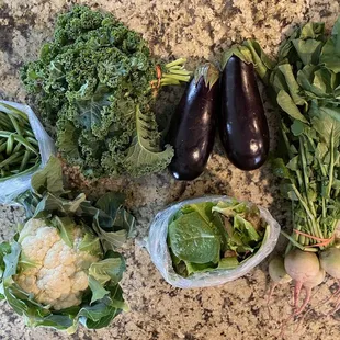 CSA 2020 Half share Week 16