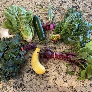 CSA 2020 Half share Week 5