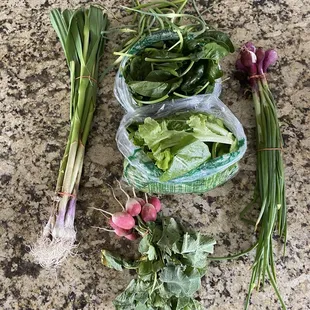 CSA 2020 Half share Week 2