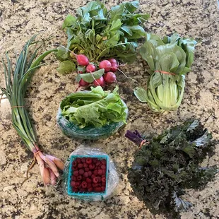 CSA 2020 Half share Week 4
