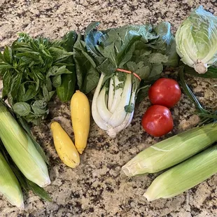 CSA 2020 Half share Week 9