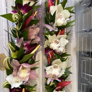 Tropical haku