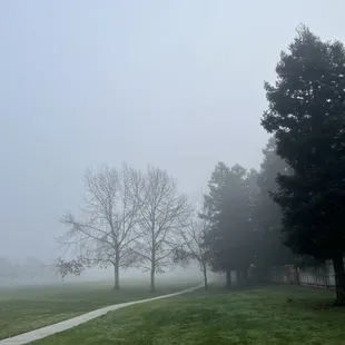 Betschart park. Winter morning fog.