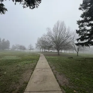 Transition from Pederson Park to Kloss Park area.