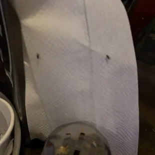 This place is disgusting these bugs are literally flying all around