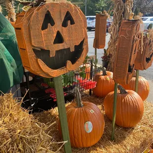 a display of pumpkins