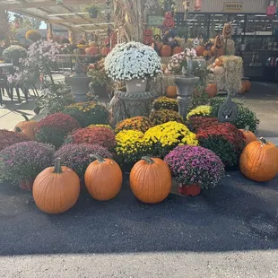 a display of pumpkins and flowers