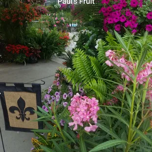 Little slice of the tropics in Louisville.