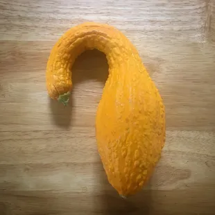 Squash from a Paul's seedling