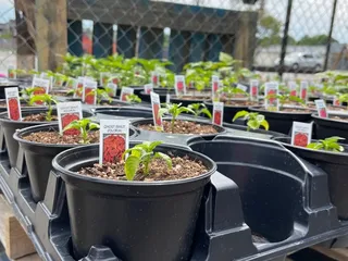 Jigg's Produce Market