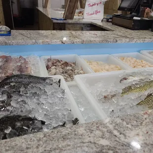 Fresh seafood
