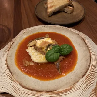 Burrata
