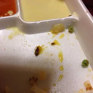 Cockroach in food!!!