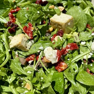 Large Create Your Signature Salad   Tofu  Goat cheese Sun dried tomatoes   Portobello ‍ Mushrooms