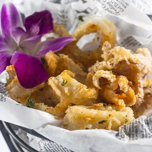 Fried Calamari