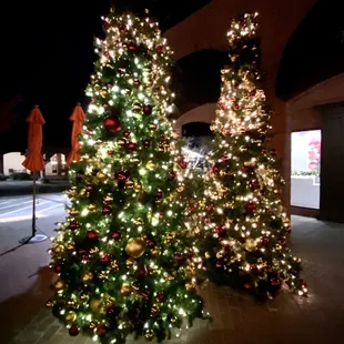 12.15.22 Christmas trees!!