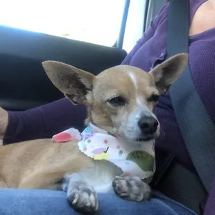 Ausha is smiling on the inside