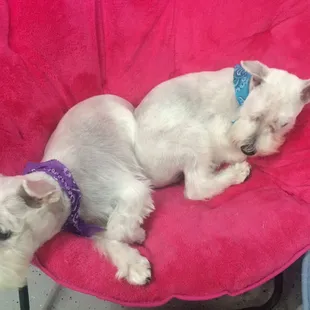 We try to make your family member feel right at home