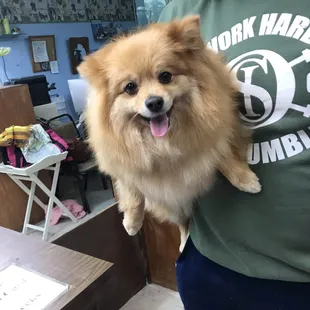 Happy customer LOL
