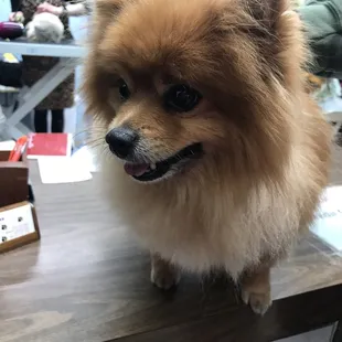 Happy dude. Happy human LOL