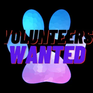 We are always looking for amazing volunteers!!