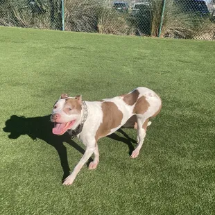 Penelope enjoyed the park