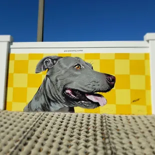 Paws Park  is a membership playground for Paw Kid's..#yelpjax #yapaboutit #pawrrificenergy #walkinbeauty