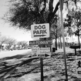 Paws Park  is a membership playground for Paw Kid's..#yelpjax #yapaboutit #pawrrificenergy #walkinbeauty