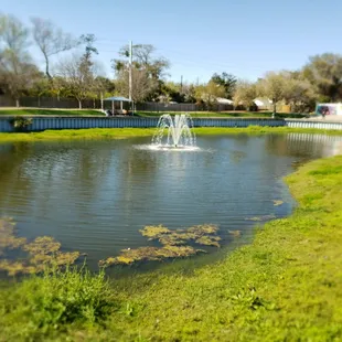 Paws Park  is a membership playground for Paw Kid's..#yelpjax #yapaboutit #pawrrificenergy #walkinbeauty