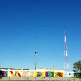 Paws Park  is a membership playground for Paw Kid's..#yelpjax #yapaboutit #pawrrificenergy #walkinbeauty