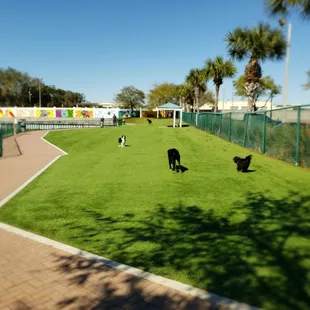 Paws Park  is a membership playground for Paw Kid's..#yelpjax #yapaboutit #pawrrificenergy #walkinbeauty