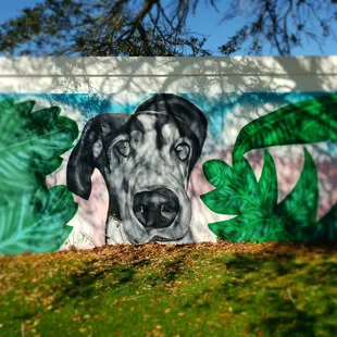 Paws Park  is a membership playground for Paw Kid's..#yelpjax #yapaboutit #pawrrificenergy #walkinbeauty