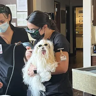 Max getting laser treatment