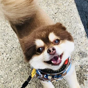 "I feel 10 pounds lighter &amp; Im not hot, IM A HOT DOGGY!"